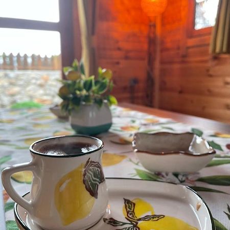 Villa Andızaltı Doğa Evleri Limon Ev Datça Extérieur photo