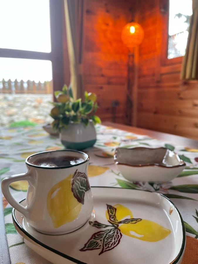 Villa Andızaltı Doğa Evleri Limon Ev Datça Extérieur photo