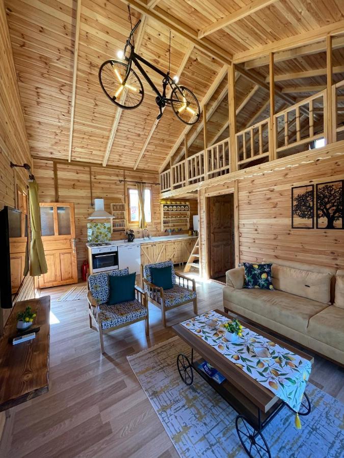 Villa Andızaltı Doğa Evleri Limon Ev Datça Extérieur photo