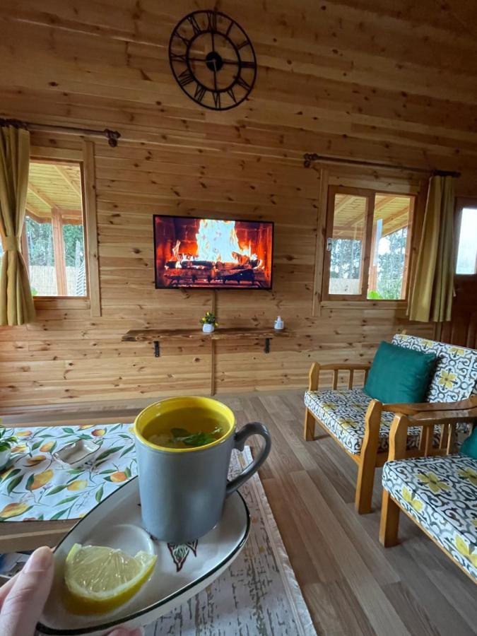 Villa Andızaltı Doğa Evleri Limon Ev Datça Extérieur photo