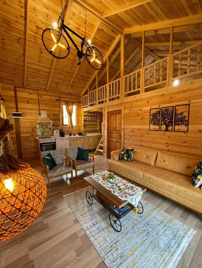 Villa Andızaltı Doğa Evleri Limon Ev Datça Extérieur photo